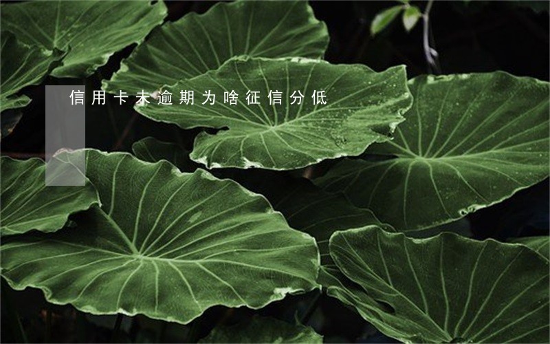 信用卡未逾期为啥征信分低 信用卡未逾期为啥征信分低