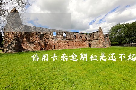 信用卡未逾期但是还不起了 信用卡未逾期但是还不起了