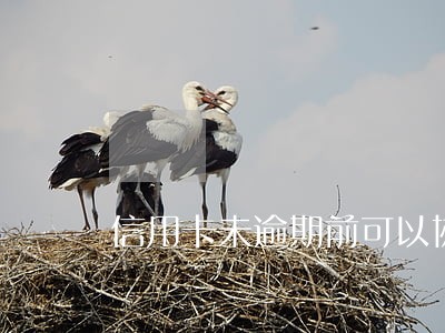 信用卡未逾期前可以协商还款吗 信用卡未逾期前可以协商还款吗