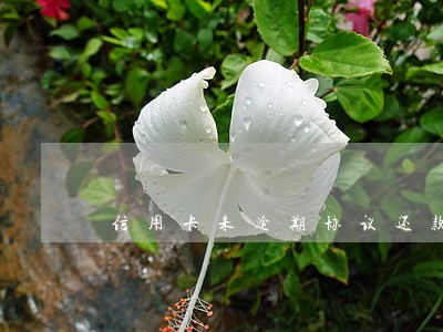信用卡未逾期协议还款 信用卡未逾期协议还款