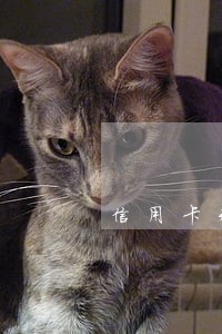 信用卡未逾期可以申请债务重组吗 信用卡未逾期可以申请债务重组吗