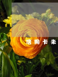 信用卡未逾期征信是否影响 信用卡未逾期征信是否影响