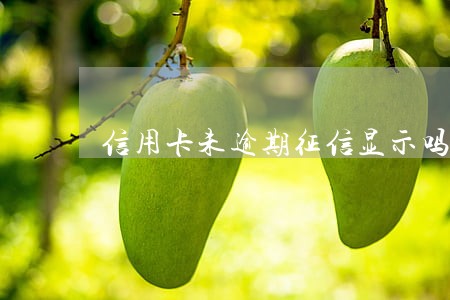 信用卡未逾期征信显示吗 信用卡未逾期征信显示吗