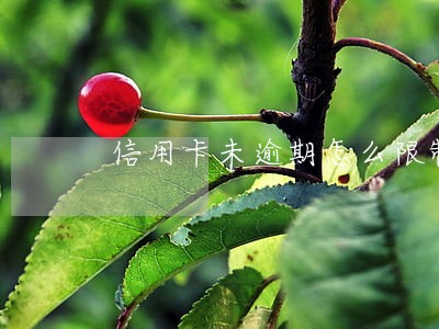 信用卡未逾期怎么限制消费