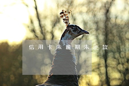 信用卡未逾期未还款
