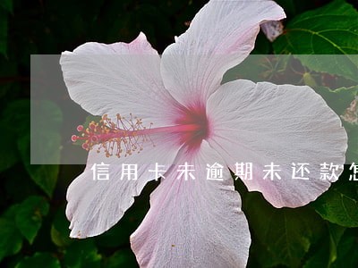 信用卡未逾期未还款怎么办 信用卡未逾期未还款怎么办