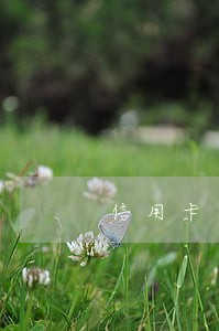 信用卡未逾期突然降额了
