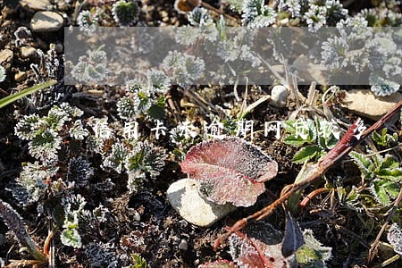 信用卡未逾期网贷较多 信用卡未逾期网贷较多