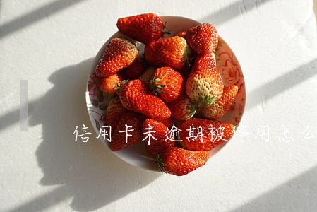 信用卡未逾期被停用怎么办
