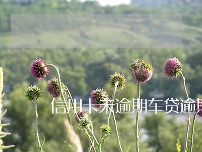 信用卡未逾期车贷逾期了 信用卡未逾期车贷逾期了