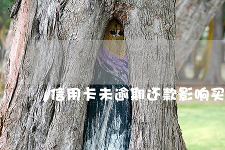 信用卡未逾期还款影响买房吗