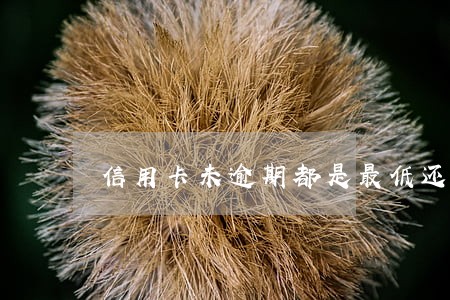 信用卡未逾期都是最低还款 信用卡未逾期都是最低还款