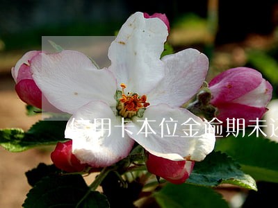 信用卡本位金逾期未还会怎么样