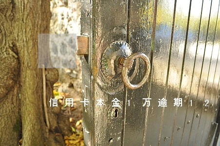信用卡本金1万逾期12年
