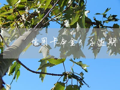 信用卡本金3千逾期