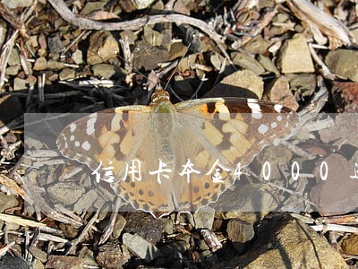 信用卡本金4000逾期7年 信用卡本金4000逾期7年