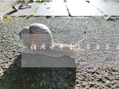 信用卡本金5000逾期