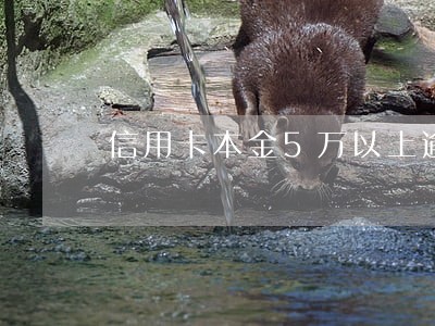 信用卡本金5万以上逾期