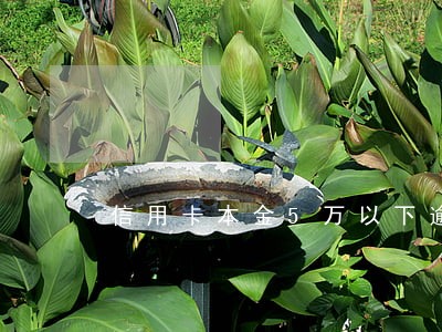 信用卡本金5万以下逾期