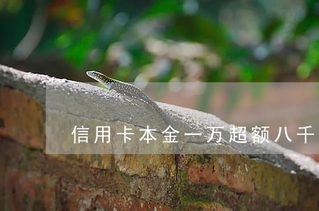 信用卡本金一万超额八千逾期 信用卡本金一万超额八千逾期