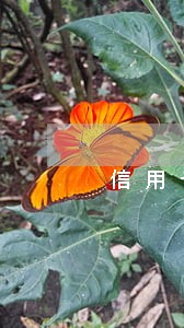 信用卡本金一千六逾期六年 信用卡本金一千六逾期六年