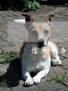 信用卡本金三千逾期三年了 信用卡本金三千逾期三年了