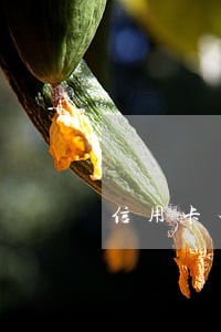 信用卡本金九千临时六千逾期一年 信用卡本金九千临时六千逾期一年