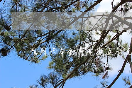 信用卡本金有逾期这个说法吗 信用卡本金有逾期这个说法吗