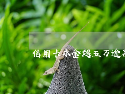 信用卡本金超五万逾期怎么办