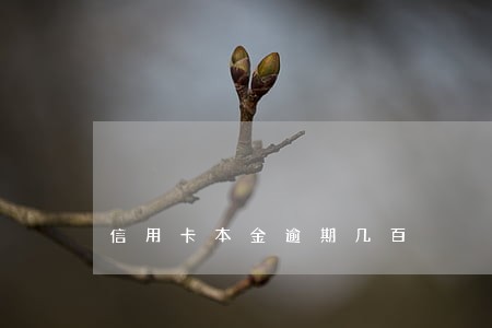 信用卡本金逾期几百 信用卡本金逾期几百