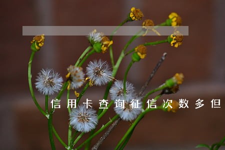 信用卡查询征信次数多但是没逾期 信用卡查询征信次数多但是没逾期