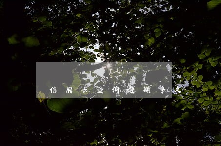 信用卡查询逾期多久 信用卡查询逾期多久