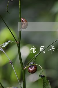 信用卡核实逾期怎么办