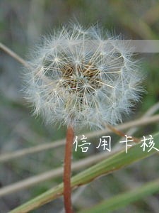 信用卡核消只还本金可以吗 信用卡核消只还本金可以吗