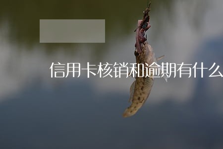 信用卡核销和逾期有什么区别 信用卡核销和逾期有什么区别