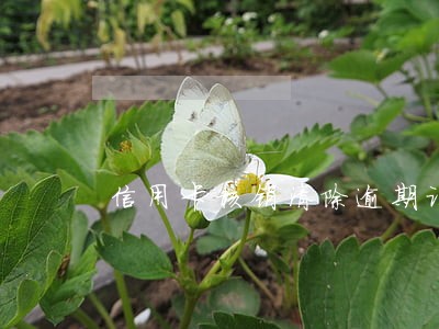信用卡核销清除逾期记录 信用卡核销清除逾期记录