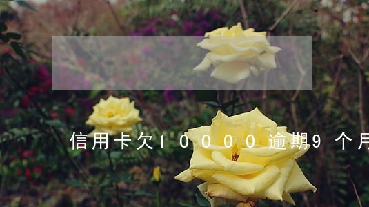 信用卡欠10000逾期9个月
