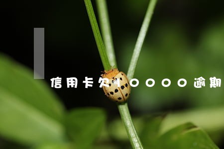 信用卡欠10000逾期多久上门 信用卡欠10000逾期多久上门