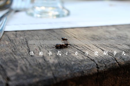 信用卡欠10万逾期多久 信用卡欠10万逾期多久