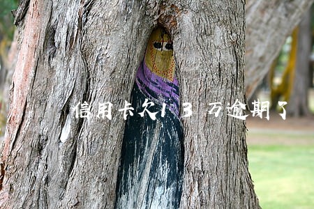 信用卡欠13万逾期了 信用卡欠13万逾期了