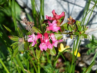 信用卡欠14万逾期半年 信用卡欠14万逾期半年