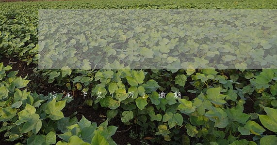 信用卡欠1万2逾期 信用卡欠1万2逾期