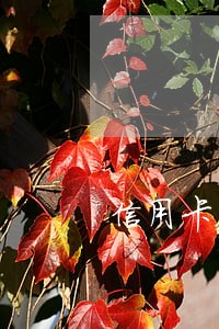 信用卡欠1万5逾期一年