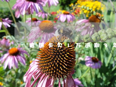 信用卡欠1万逾期3年 信用卡欠1万逾期3年