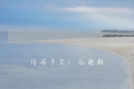 信用卡欠1元逾期 信用卡欠1元逾期