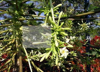 信用卡欠1块钱逾期 信用卡欠1块钱逾期