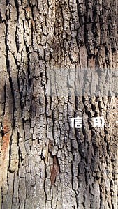 信用卡欠2000逾期5年了 信用卡欠2000逾期5年了