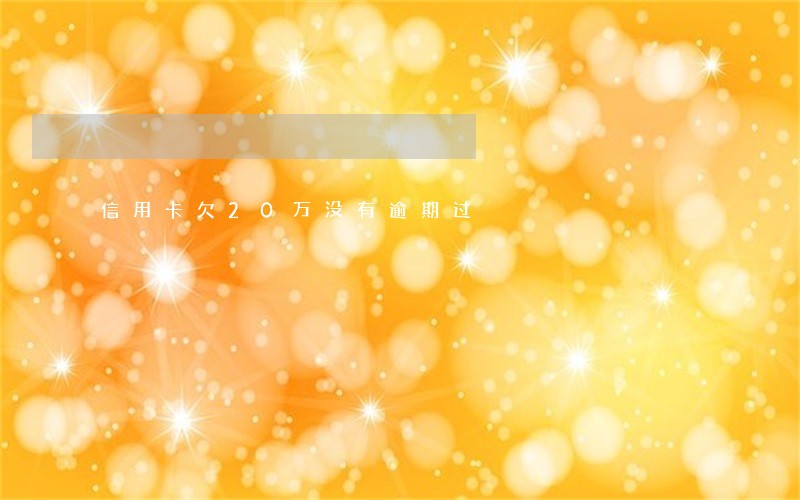 信用卡欠20万没有逾期过 信用卡欠20万没有逾期过