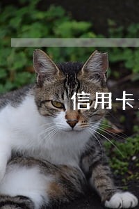 信用卡欠20元逾期2天有影响吗 信用卡欠20元逾期2天有影响吗