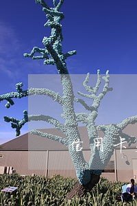 信用卡欠2万逾期2个月怎么办 信用卡欠2万逾期2个月怎么办
